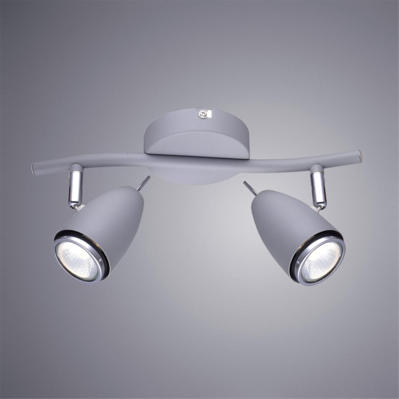 Дополнительная картинка Настенно-потолочный светильник Arte Lamp Regista A1966AP-2GY