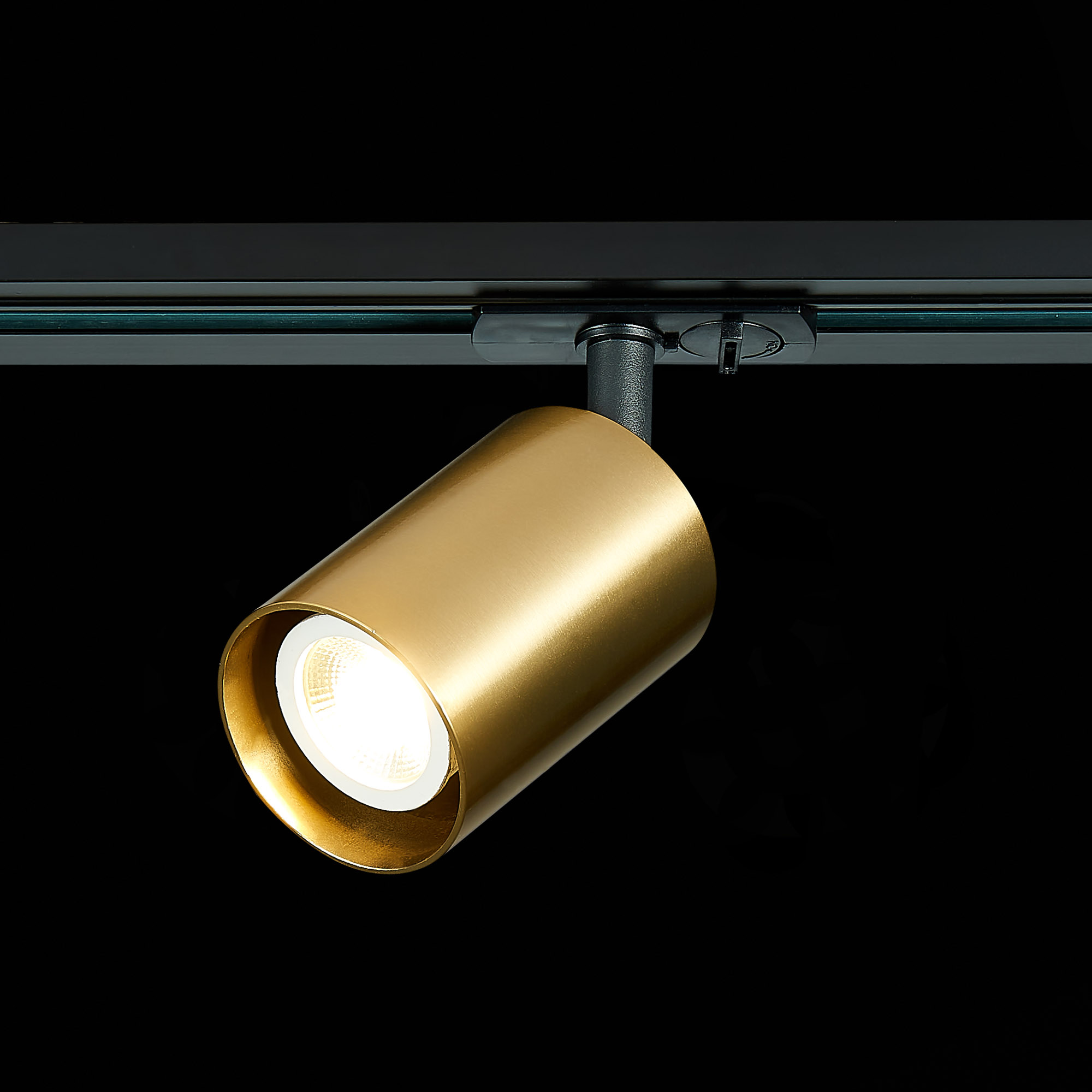 Картинка Трековый светильник ST Luce ST302.206.01