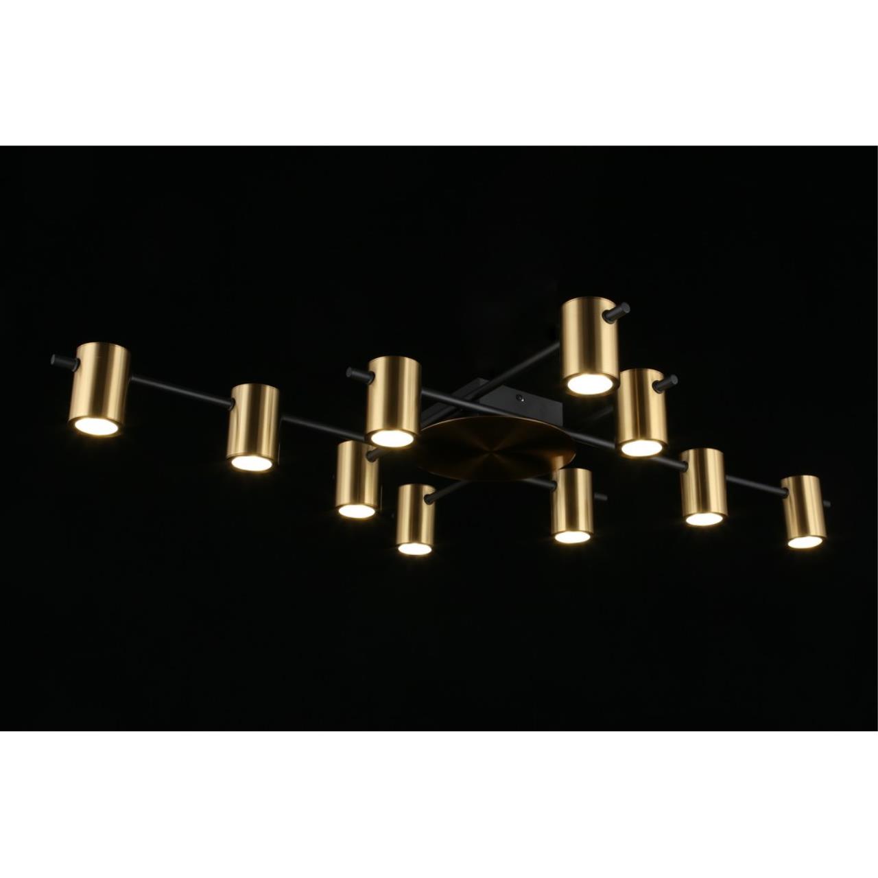 Картинка Потолочная люстра Aployt Elwisia APL.633.07.10