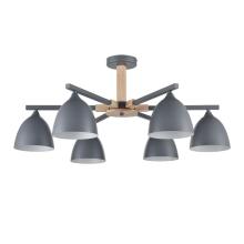 купить 8096/6C Lumion Люстра потолочная COLANGE в Алматы, svet.kz, доставка по Казахстану 