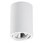 Дополнительная картинка 214406 Светильник RULLO HP16 БЕЛЫЙ (в комплекте)