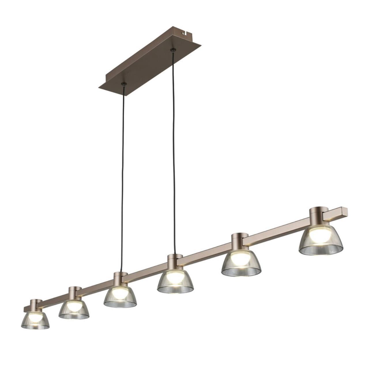 Картинка APL.788.03.06 Светильник подвесной Aployt Rezeda