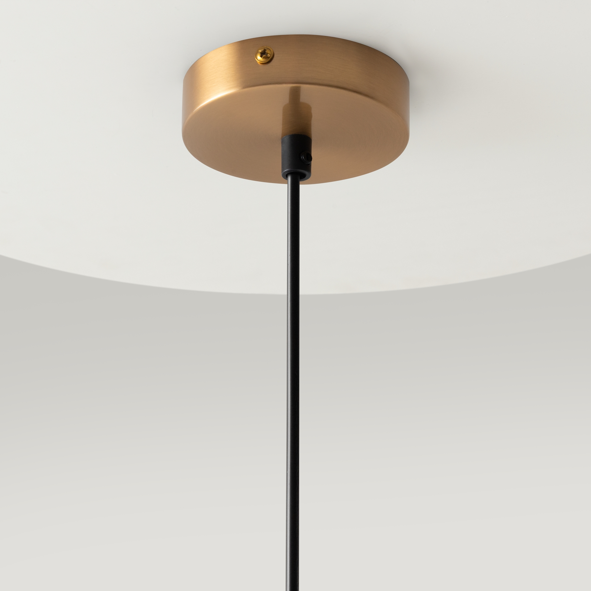 Дополнительная картинка Подвесной светильник Maytoni MOD013PL-02BS1