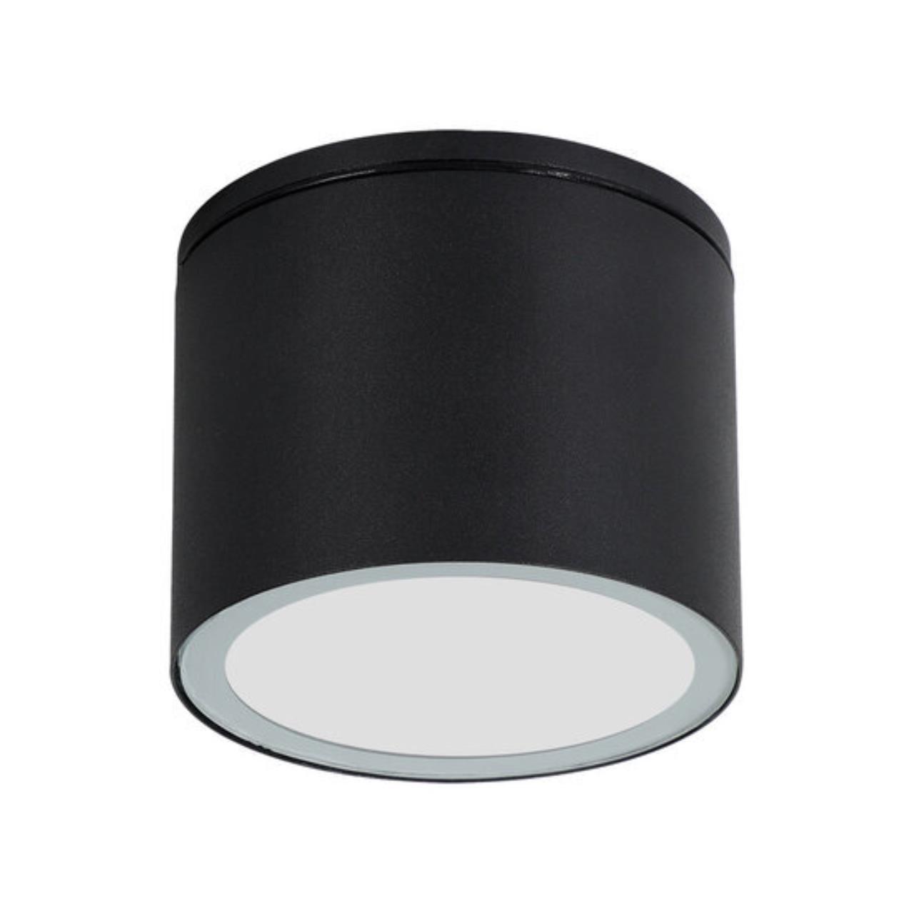 Картинка Уличный потолочный светильник Arte Lamp PIAUTOS A1913PF-1BK