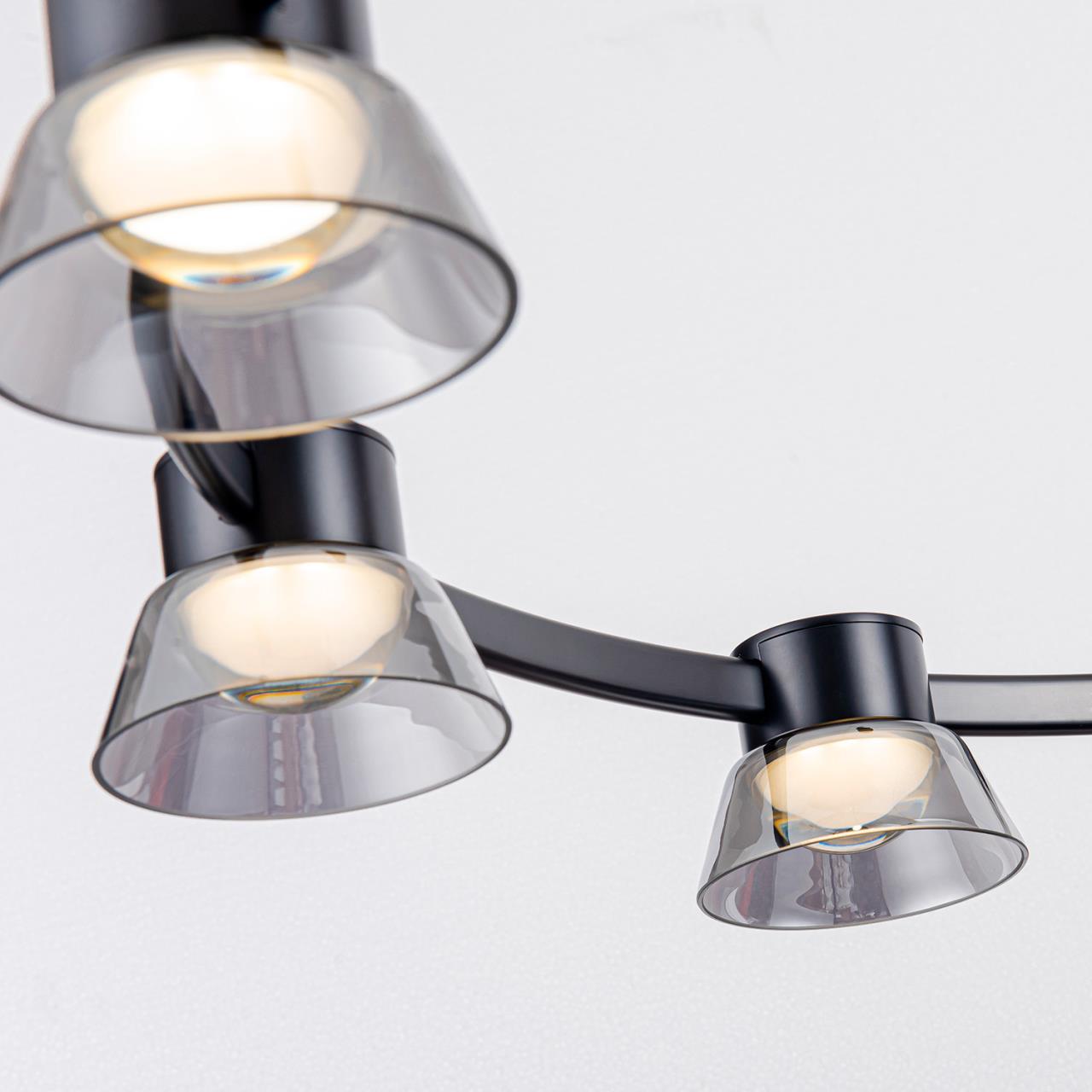 Картинка Подвесная люстра Twix 4247-12P