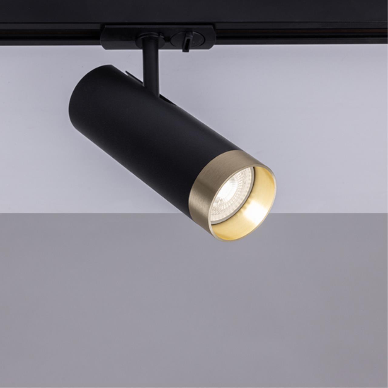 Дополнительная картинка Трековый светильник Arte Lamp TOPIC A2356PL-1BK