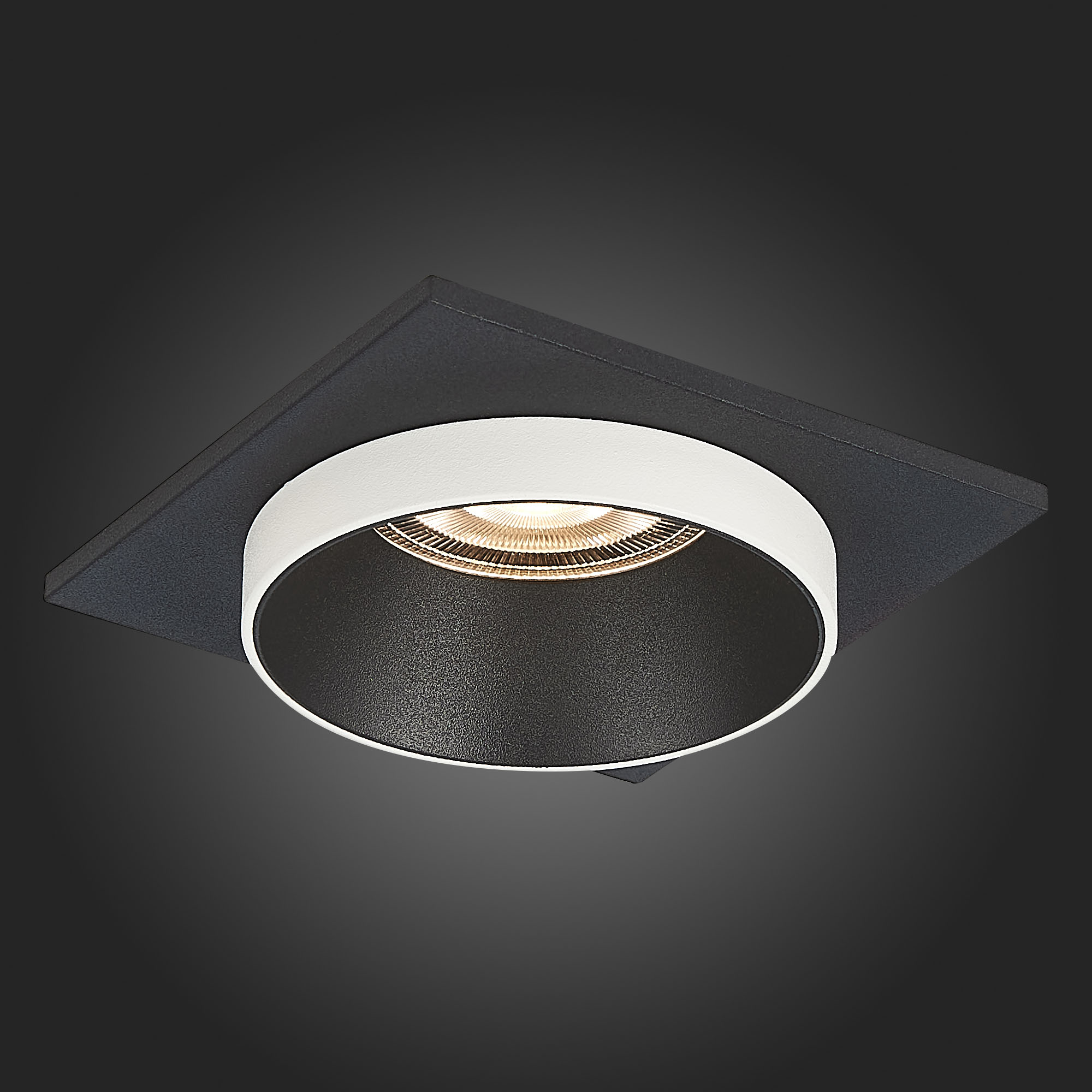 Дополнительная картинка Встраиваемый светильник ST Luce ST206.418.01