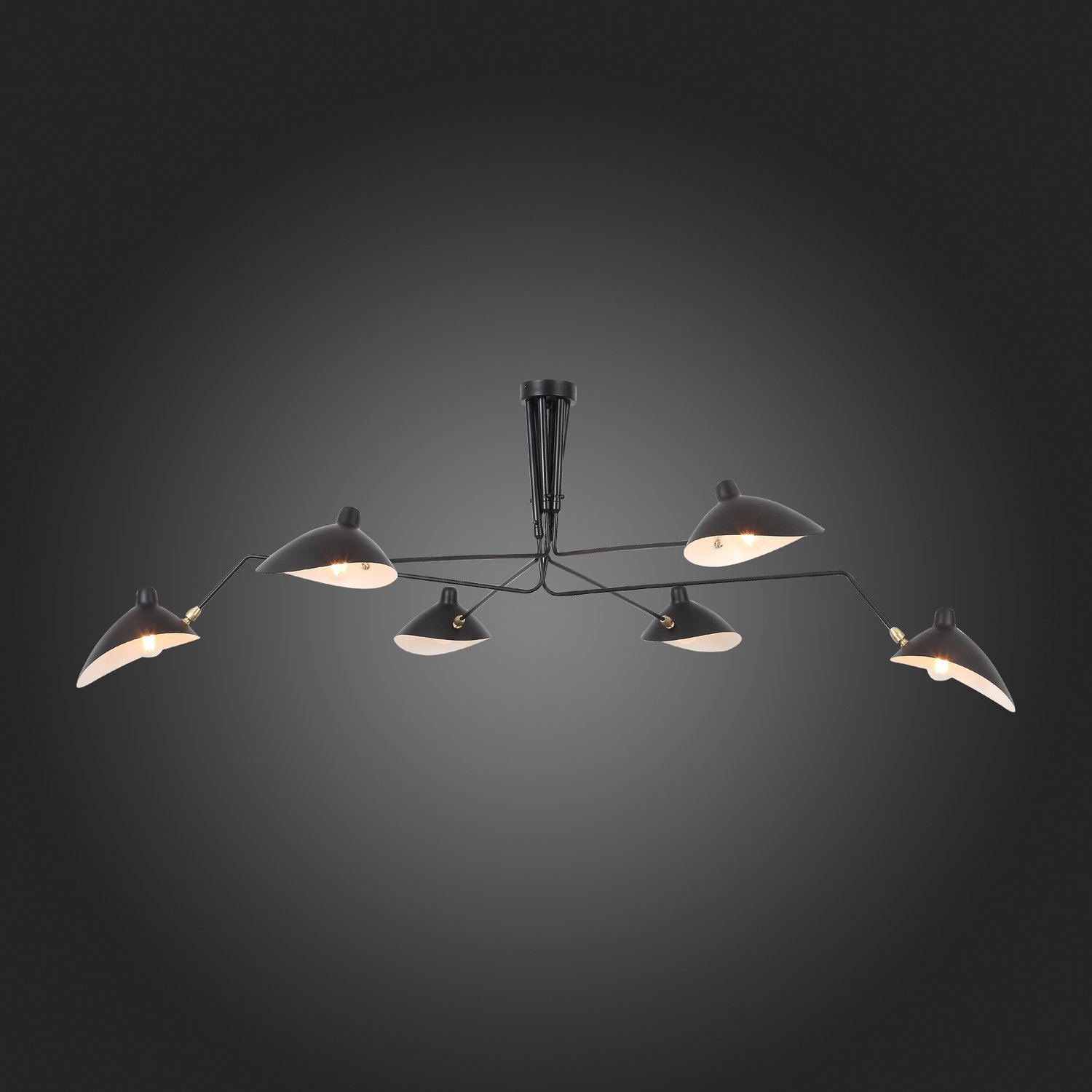 Картинка Подвесная люстра ST Luce Spruzzo SL305.402.06