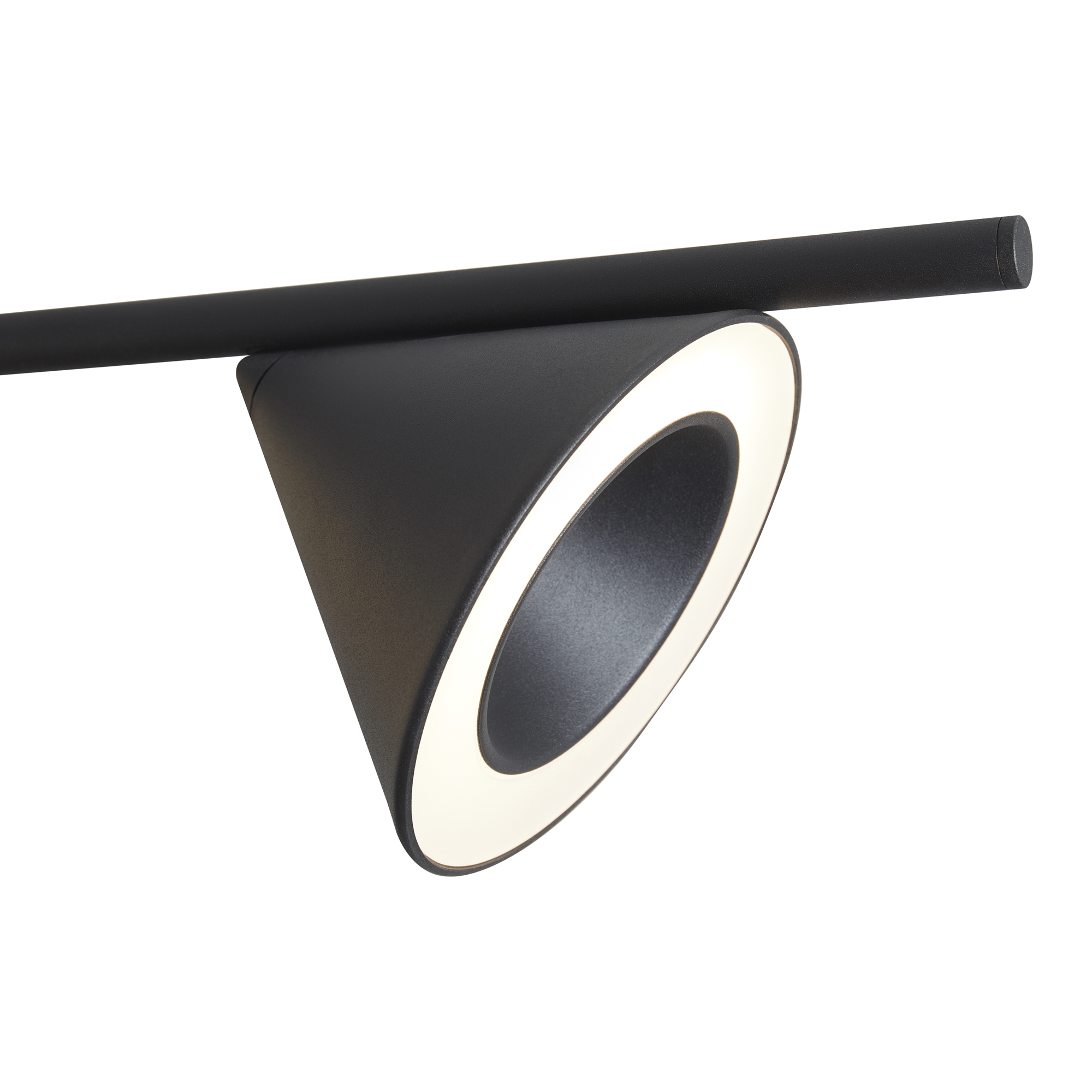 Дополнительная картинка Подвесной светильник Freya FR6141PL-L28B