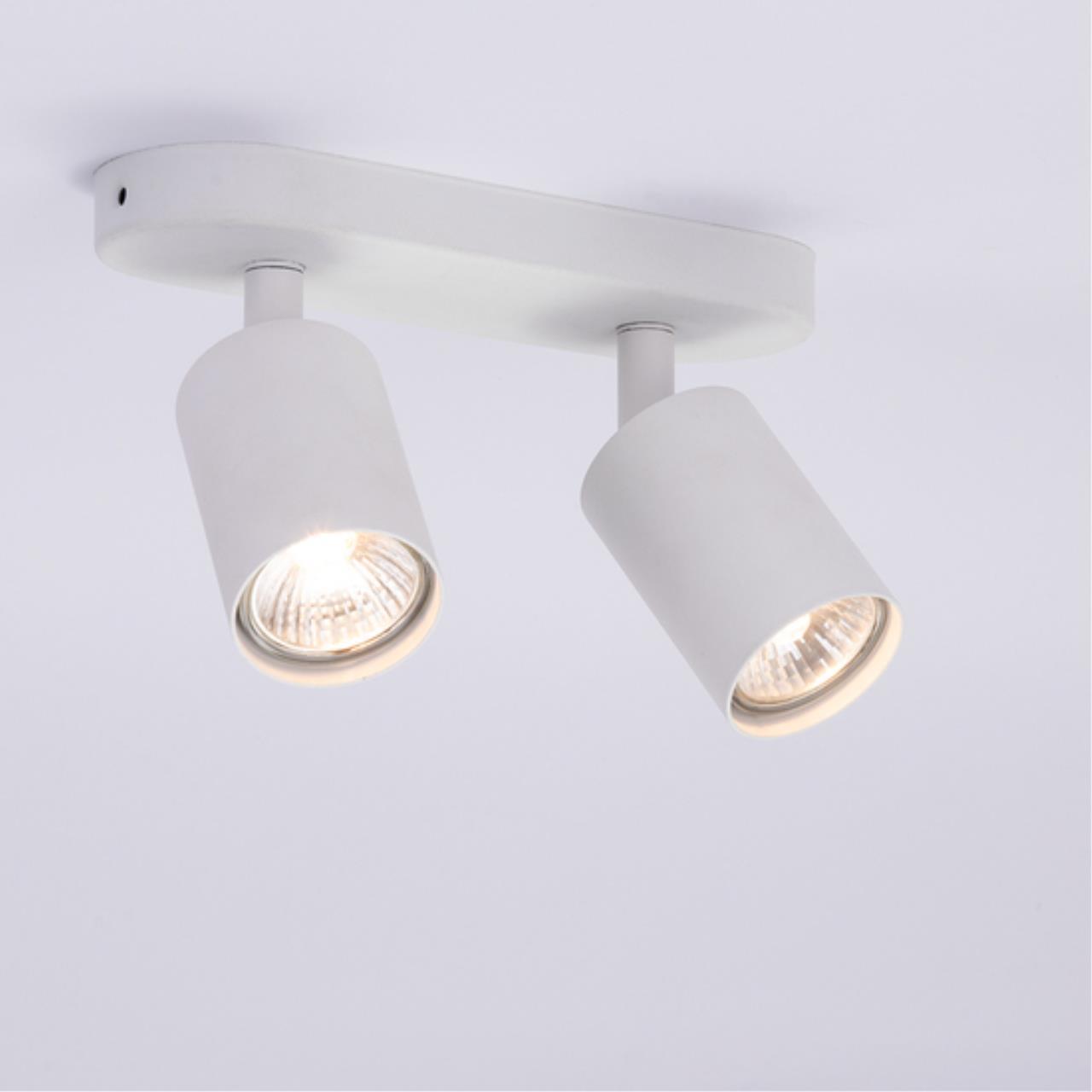 Дополнительная картинка Потолочный светильник Arte Lamp AQUARIUS A3226PL-2WH