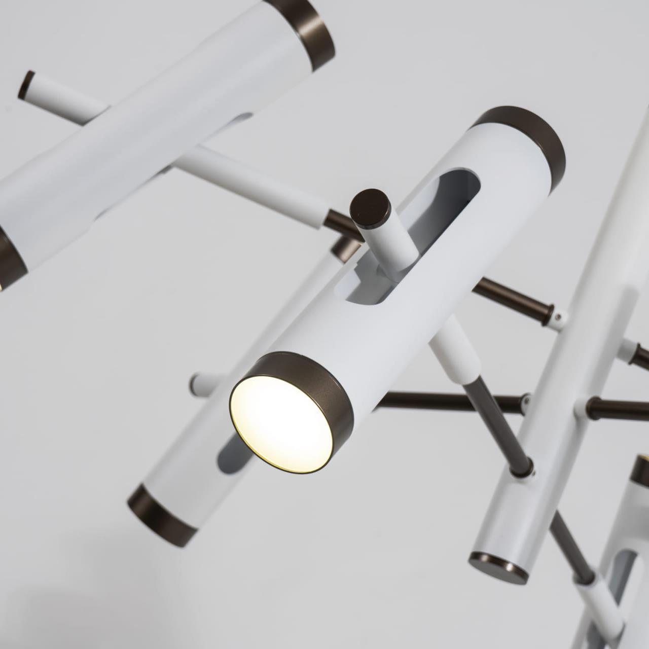 Картинка Подвесная светодиодная люстра Favourite Duplex 2325-12P