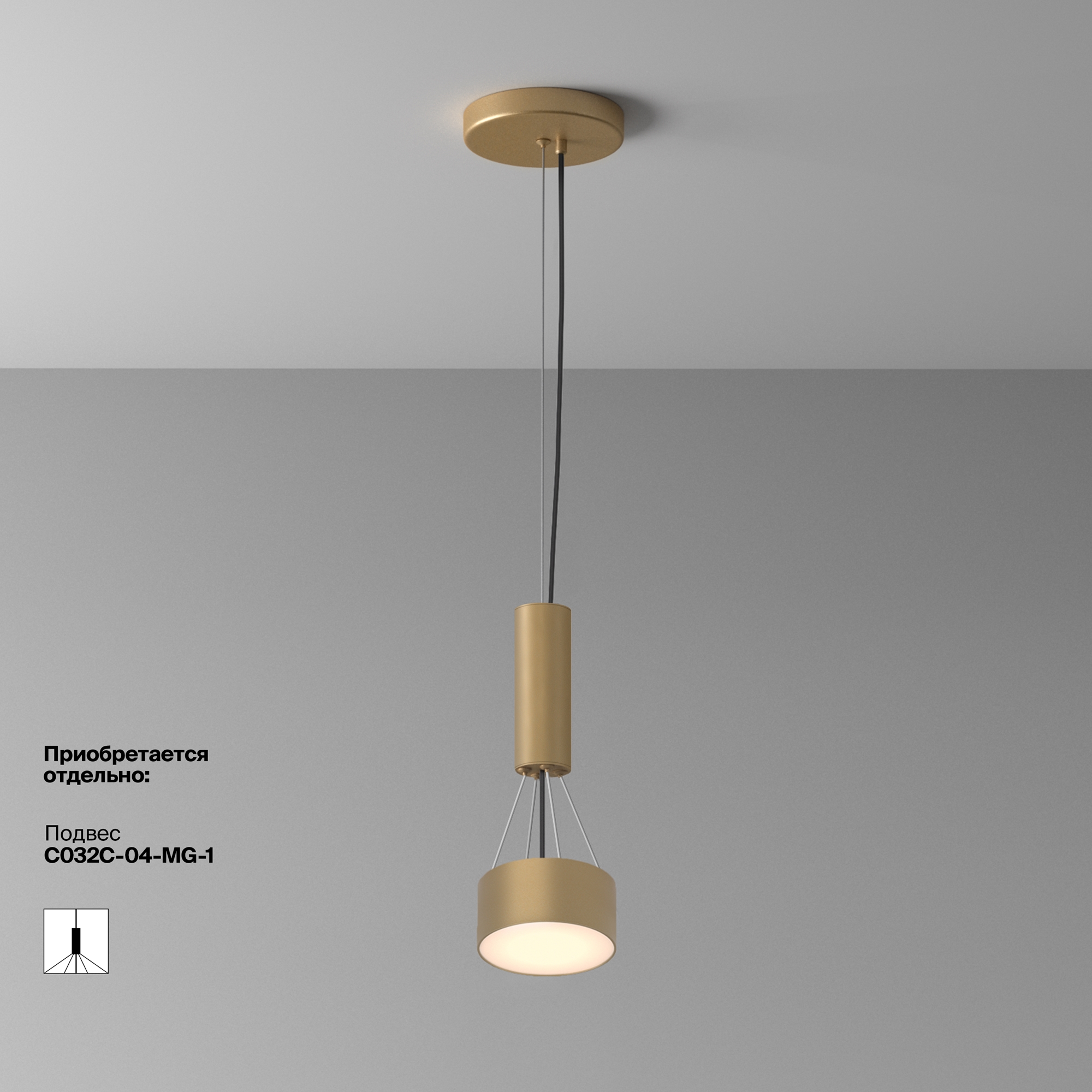 Дополнительная картинка Потолочный светильник Technical C032CL-12W3K-RD-MG