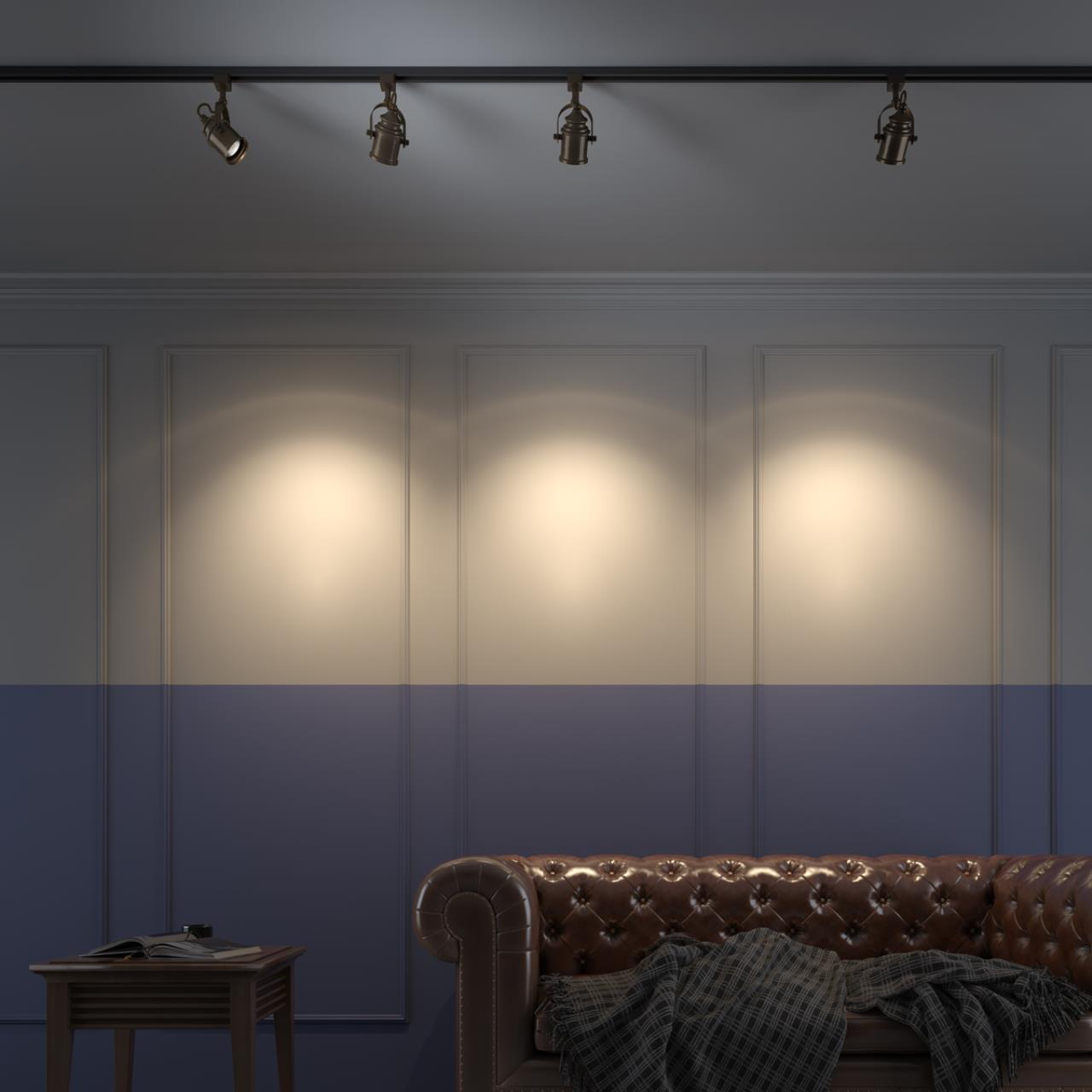 Дополнительная картинка Трековый светильник Novotech Port Veterum 370545