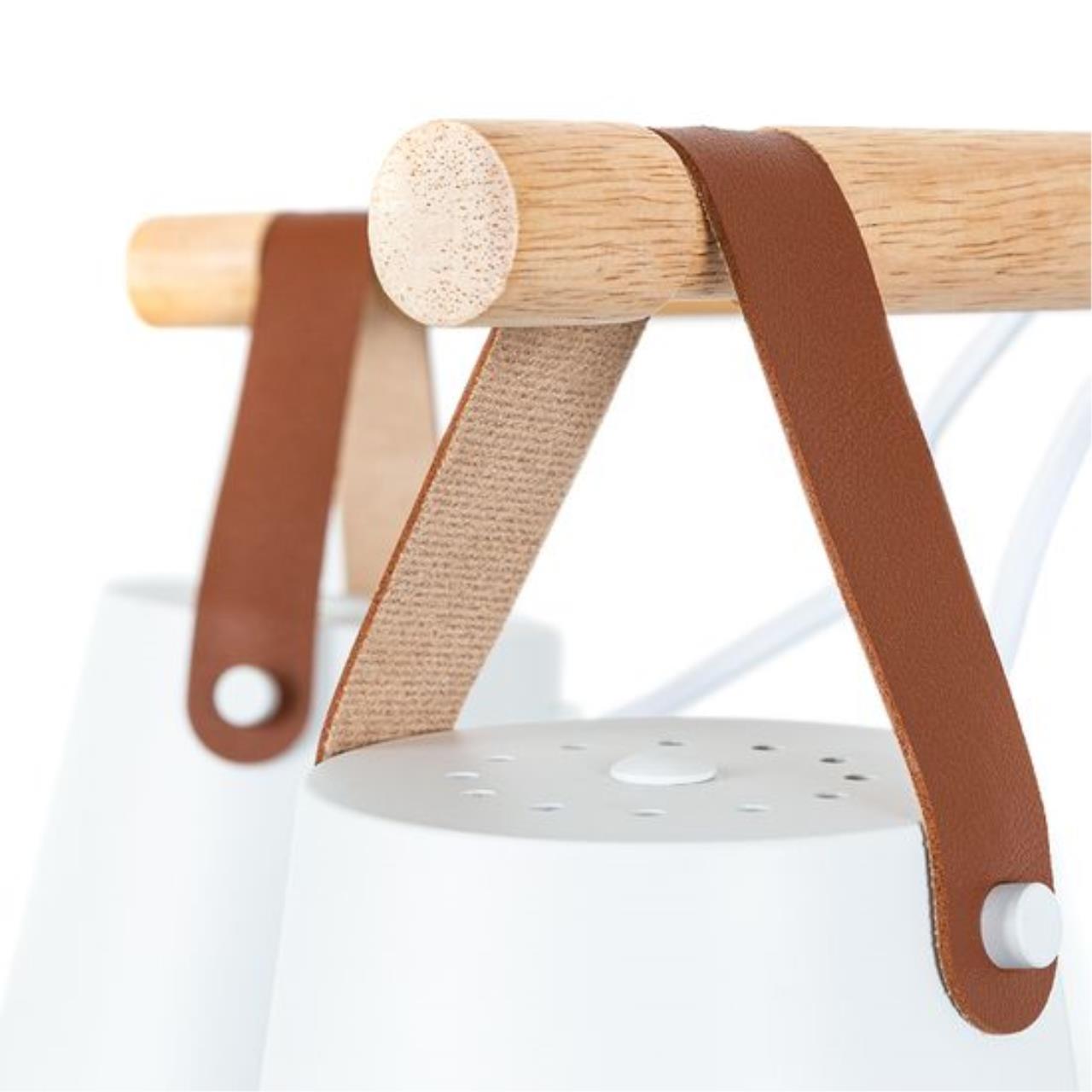 Дополнительная картинка Потолочный светильник Arte Lamp THOMAS A7032PL-5WH