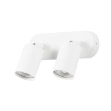 Настенно-потолочные Потолочный светильник Arte Lamp AQUARIUS A3226PL-2WH, доставка по Казахстану 
