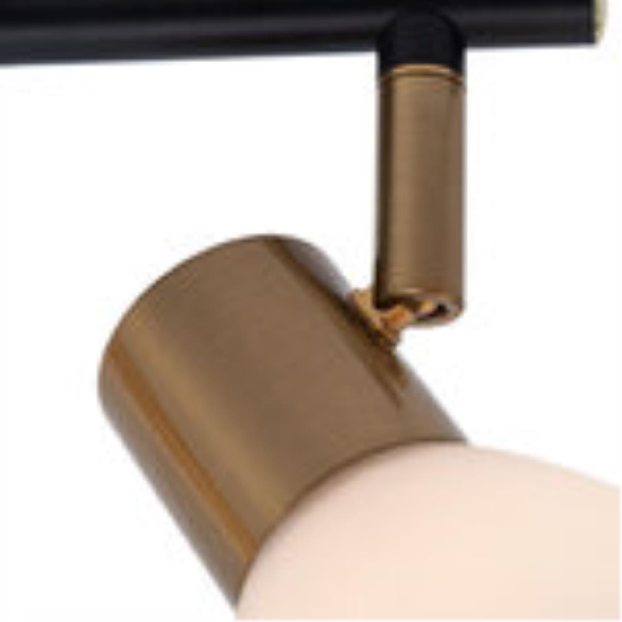 Дополнительная картинка Настенно-потолочный светильник Arte Lamp Falena A3117PL-2BK