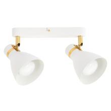 Настенно-потолочные Потолочный светильник Arte Lamp FAFNIR A5047PL-2WH, доставка по Казахстану 