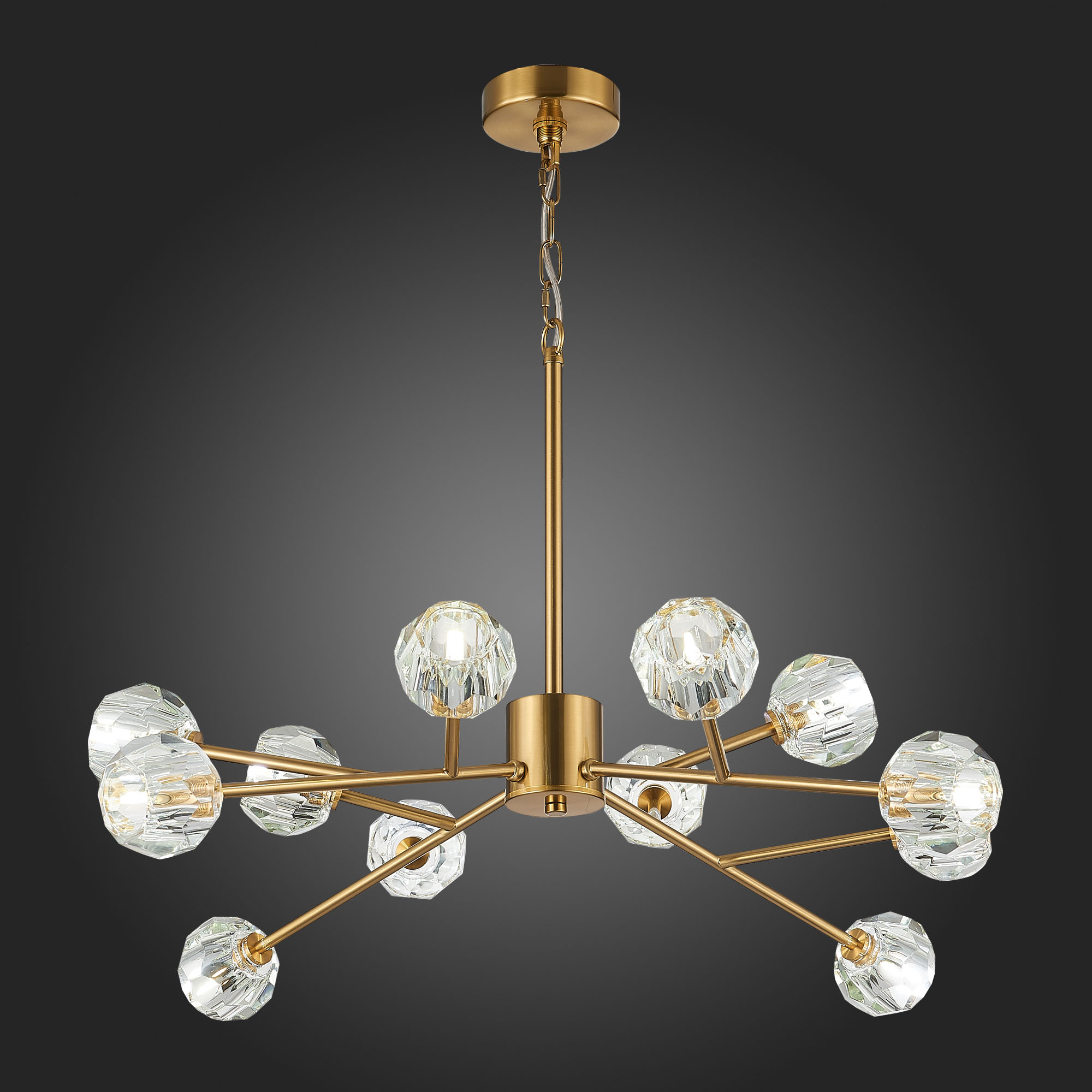 Картинка Подвесная люстра ST Luce Romano SL1166.303.12