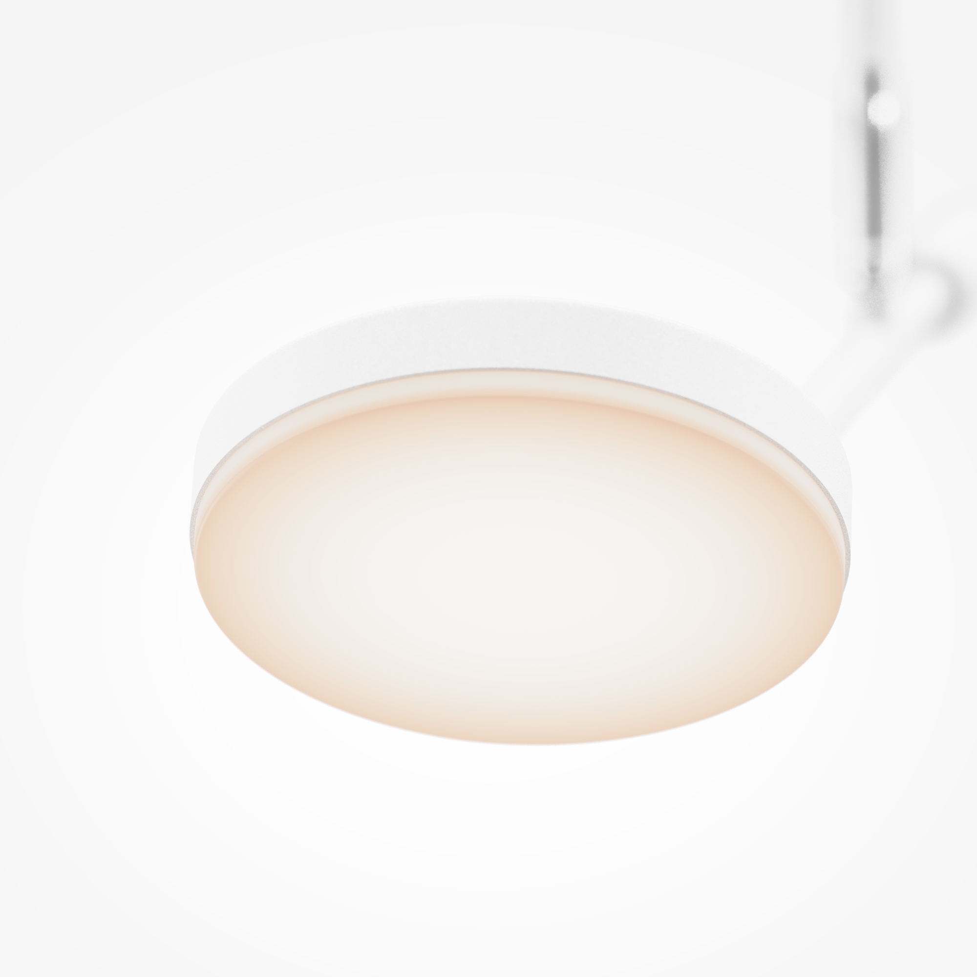 Дополнительная картинка Подвесной светильник Maytoni MOD070CL-L8W3K
