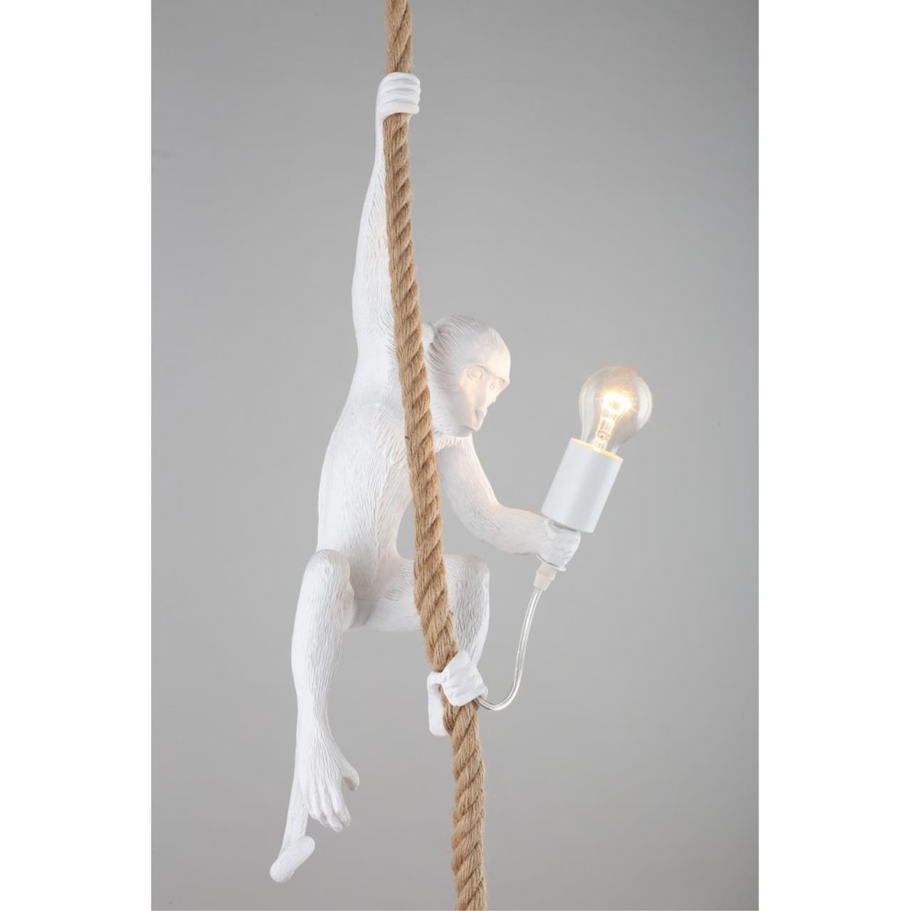 Картинка Подвесной светильник Aployt Magali APL.309.06.01