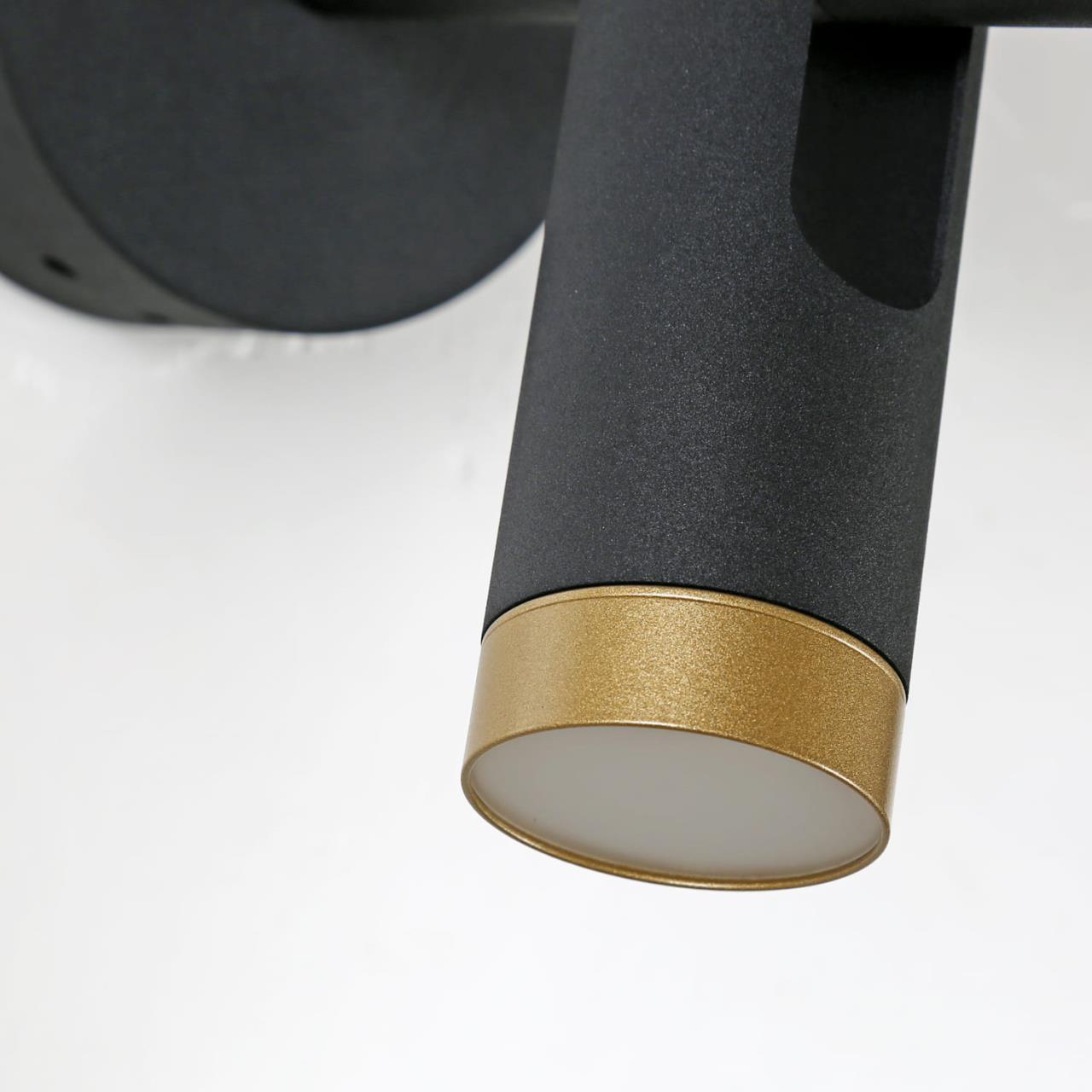 Картинка Светодиодный спот Favourite Duplex 2324-2W