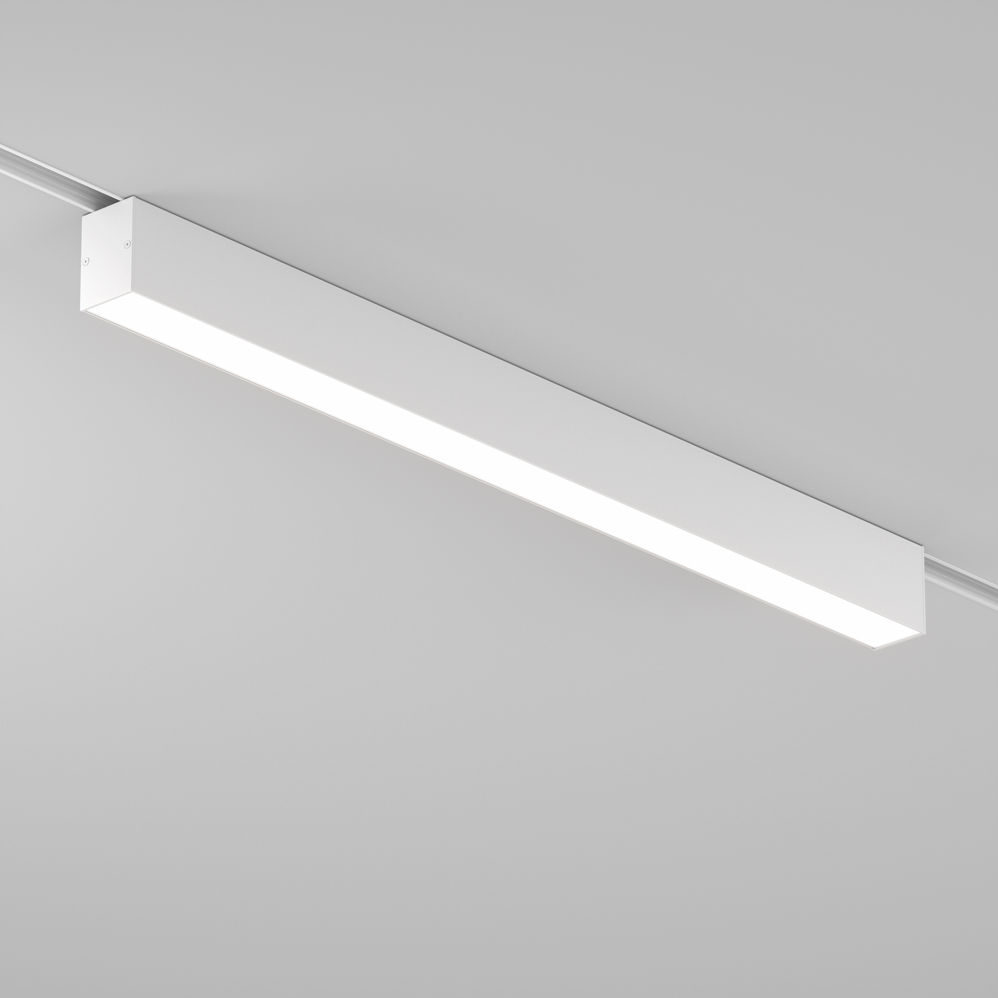 Дополнительная картинка Трековый светильник Technical TR012-2-20W4K-W