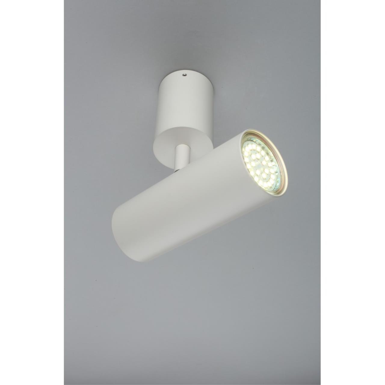 Картинка Светодиодный спот Aployt Berenis APL.007.02.01