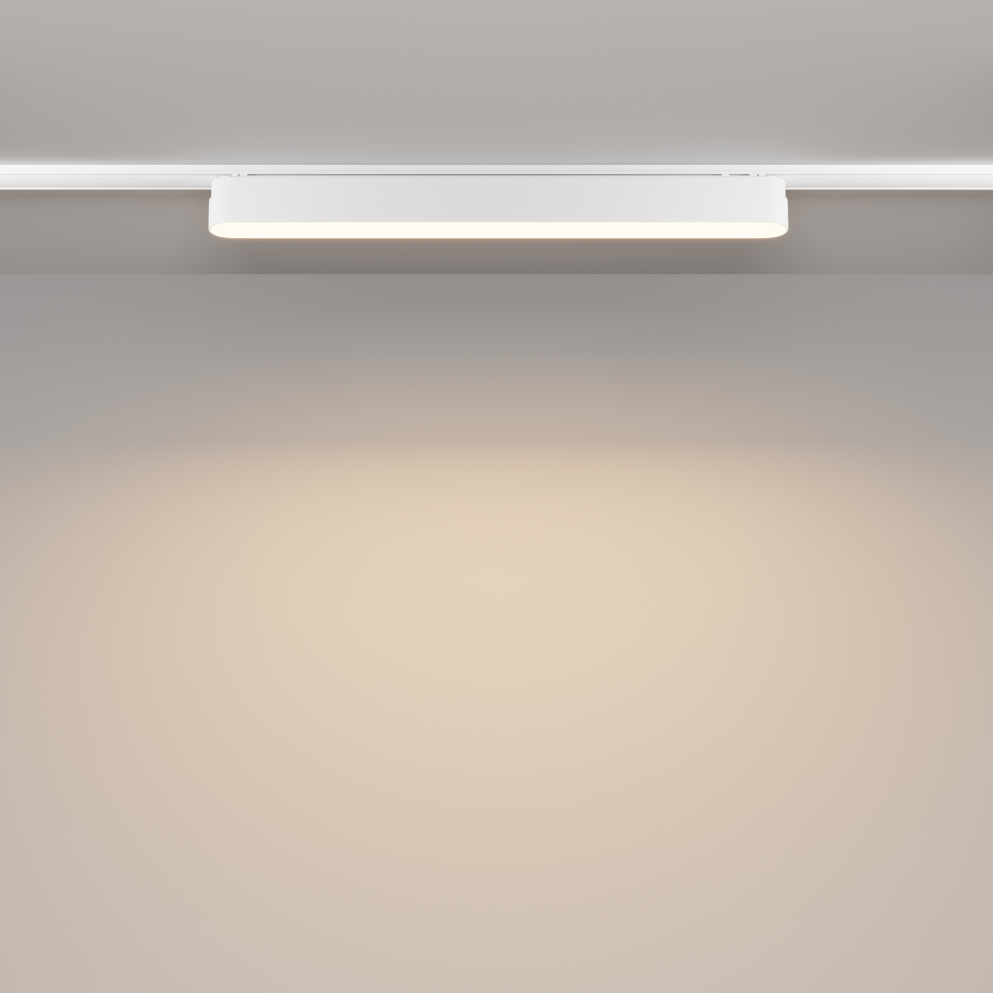 Картинка Трековый светильник Technical TR080-1-18W3K-W