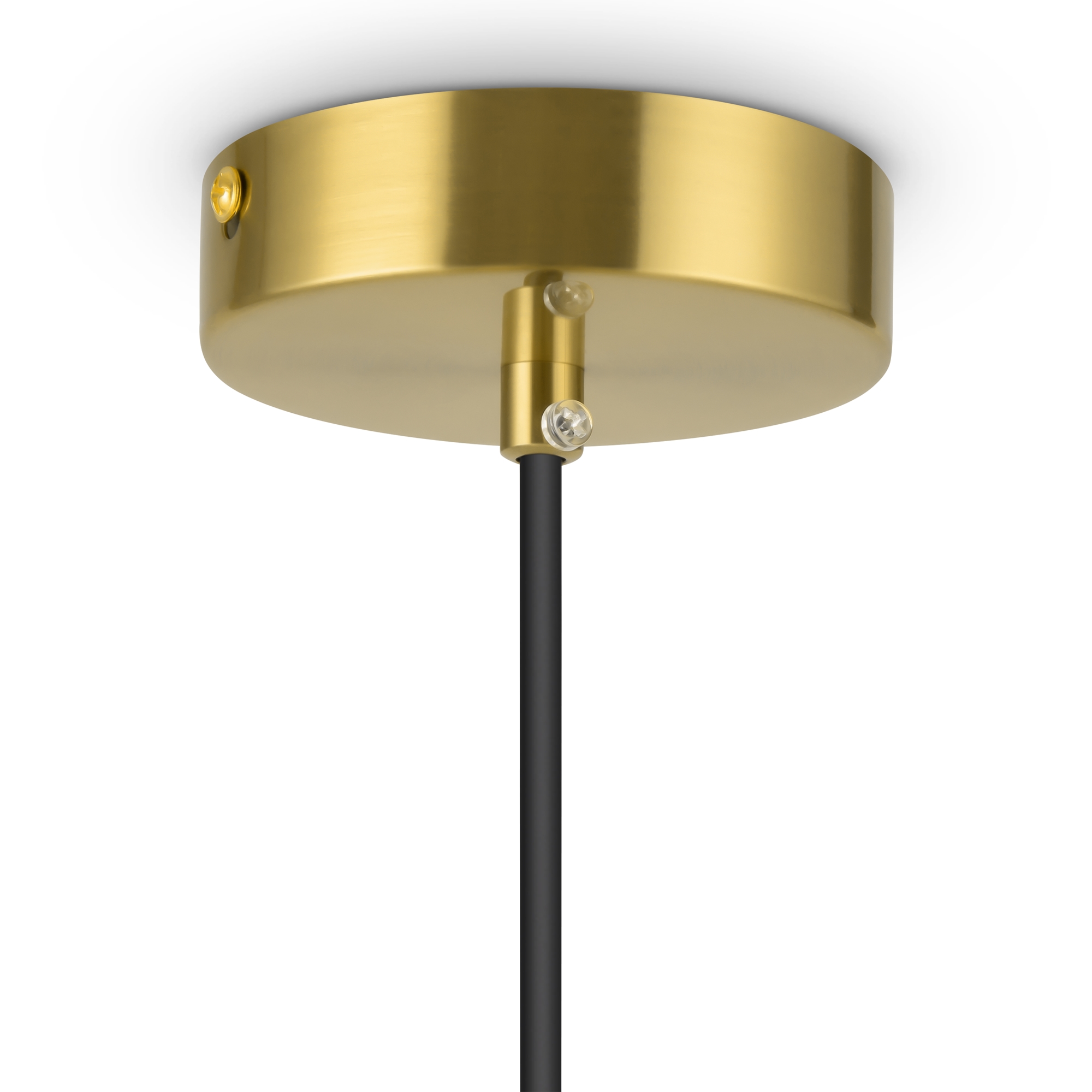 Дополнительная картинка Подвесной светильник Freya FR5218PL-01BS