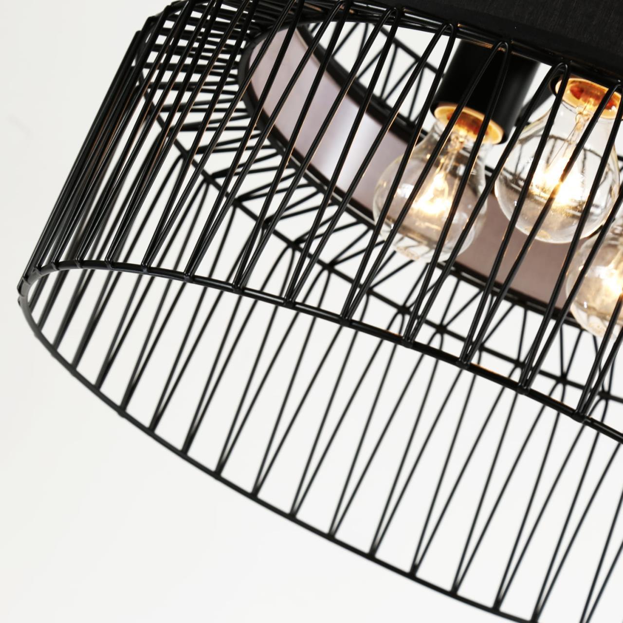 Дополнительная картинка Подвесная люстра Favourite Korb 2363-2P