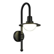 SL9512.401.01 Светильник уличный настенный ST-Luce PROCHE светильники