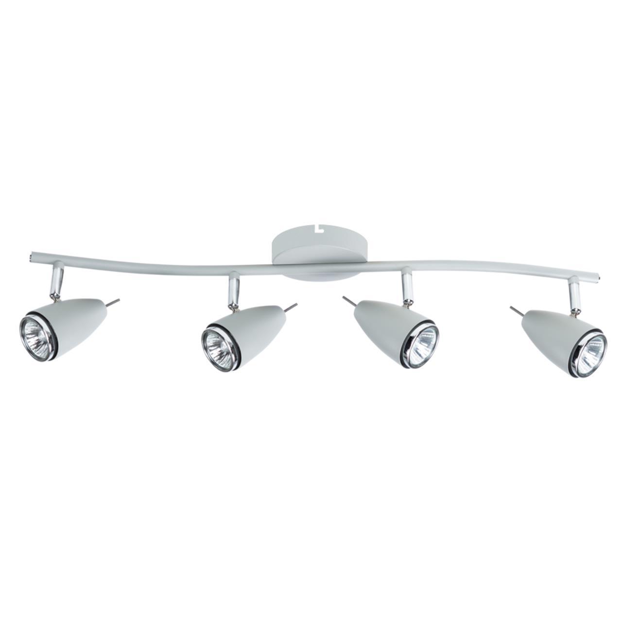Дополнительная картинка Настенно-потолочный светильник Arte Lamp Regista A1966PL-4GY