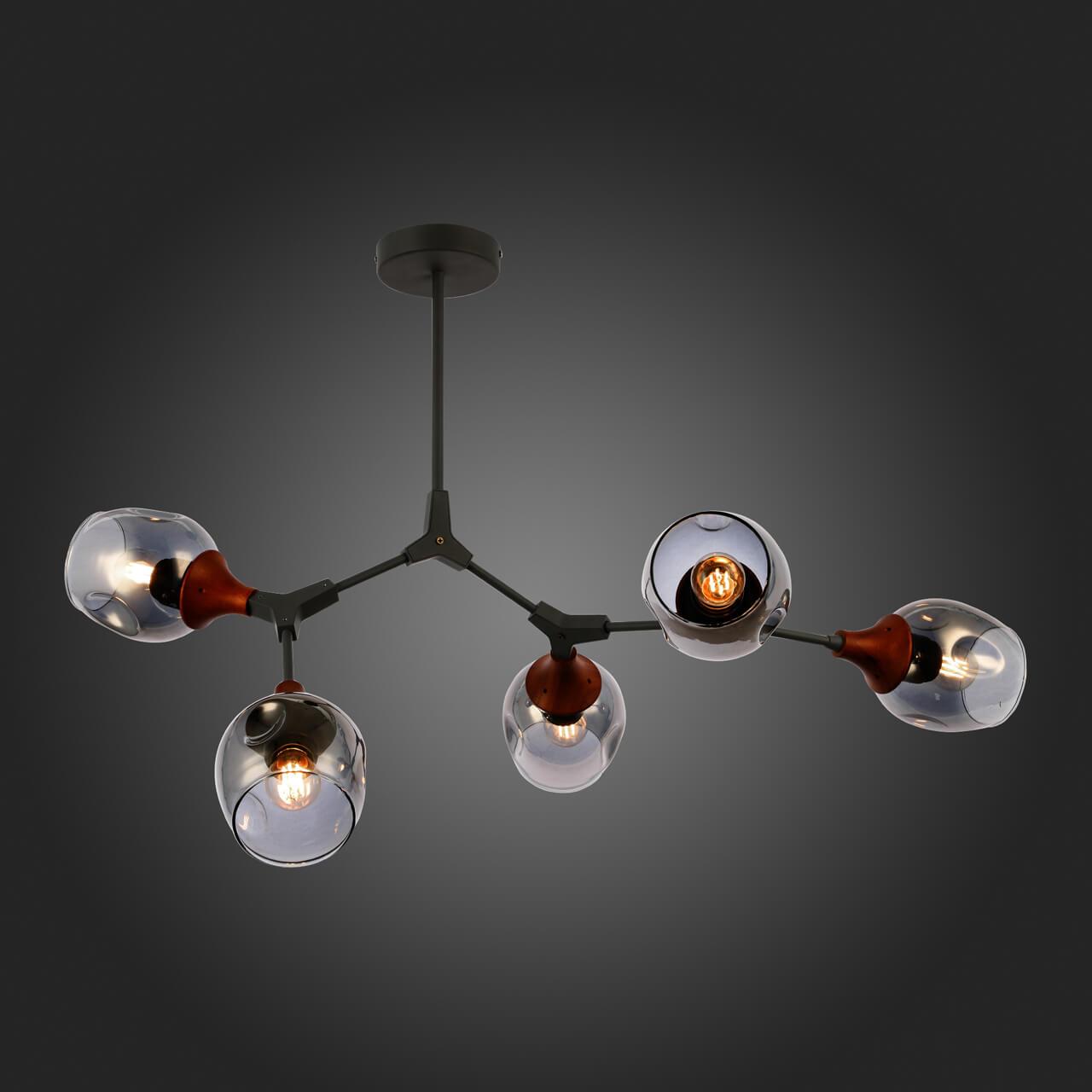 Дополнительная картинка Потолочная люстра Evoluce Ciotolla SLE113402-05