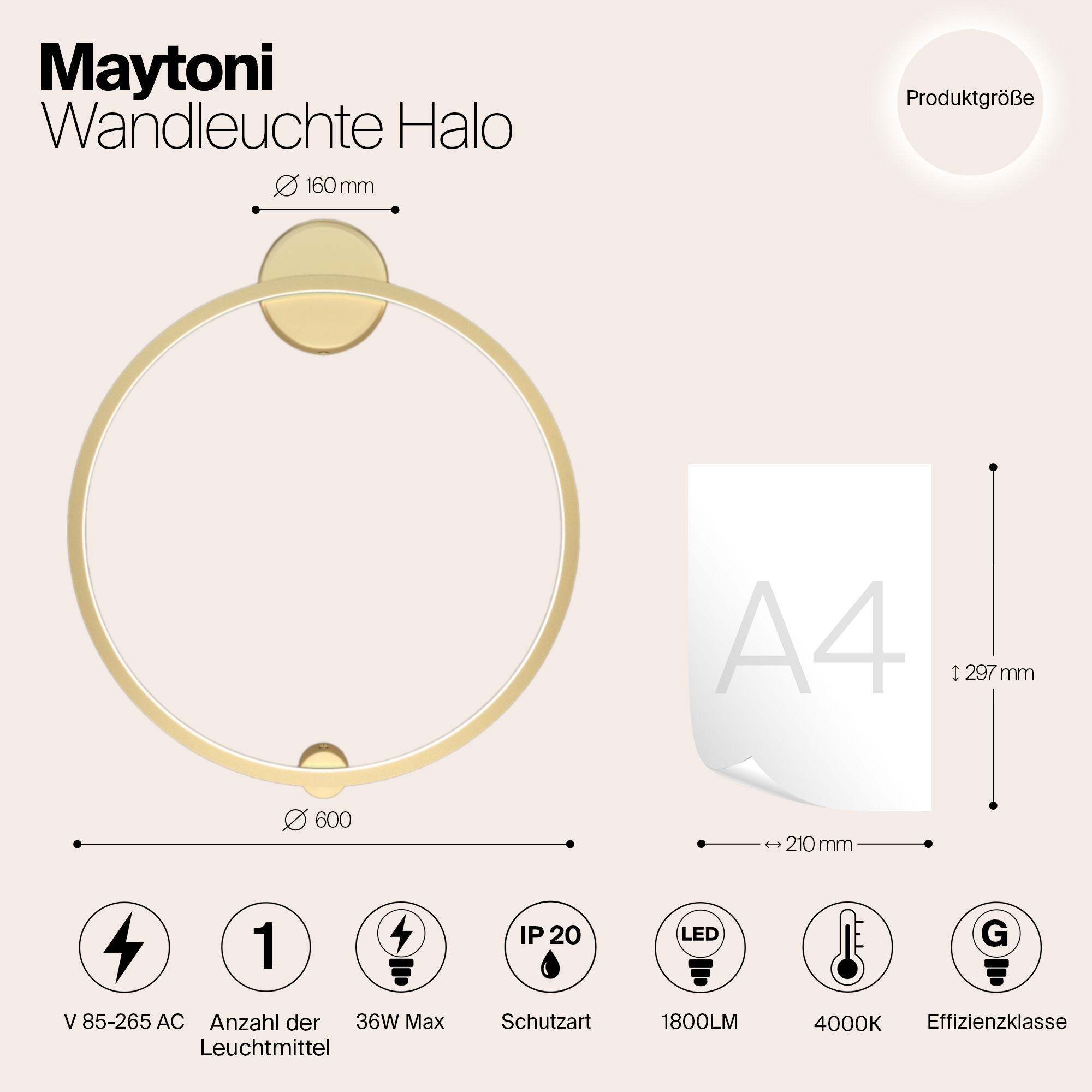 Дополнительная картинка Настенный светильник (бра) Maytoni MOD005WL-L22BSK1