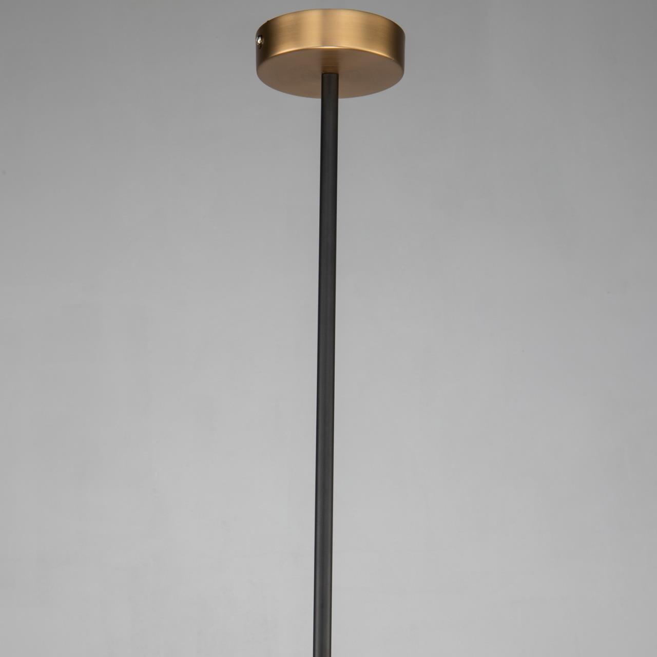 Дополнительная картинка Подвесной светильник Favourite Roshe 2624-1P