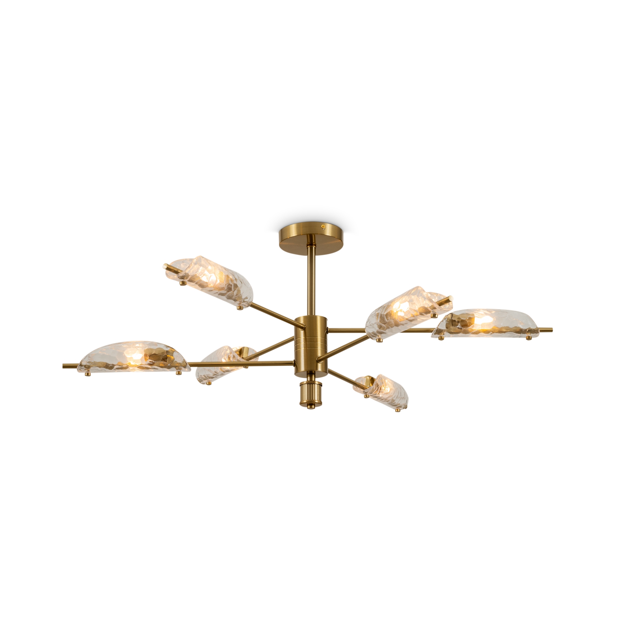 Дополнительная картинка Потолочный светильник Freya FR5420CL-06BS