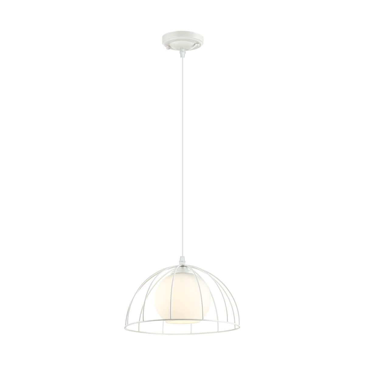 Картинка Подвесной светильник Lumion Suspentioni Shelby 3713/1