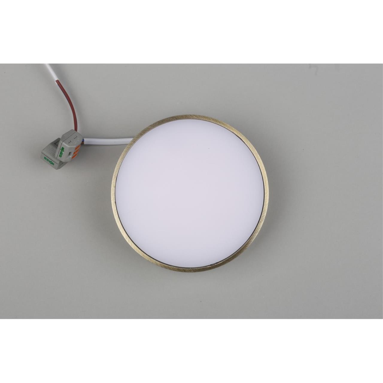 Картинка Потолочный светодиодный светильник Aployt Evon APL.0113.29.12