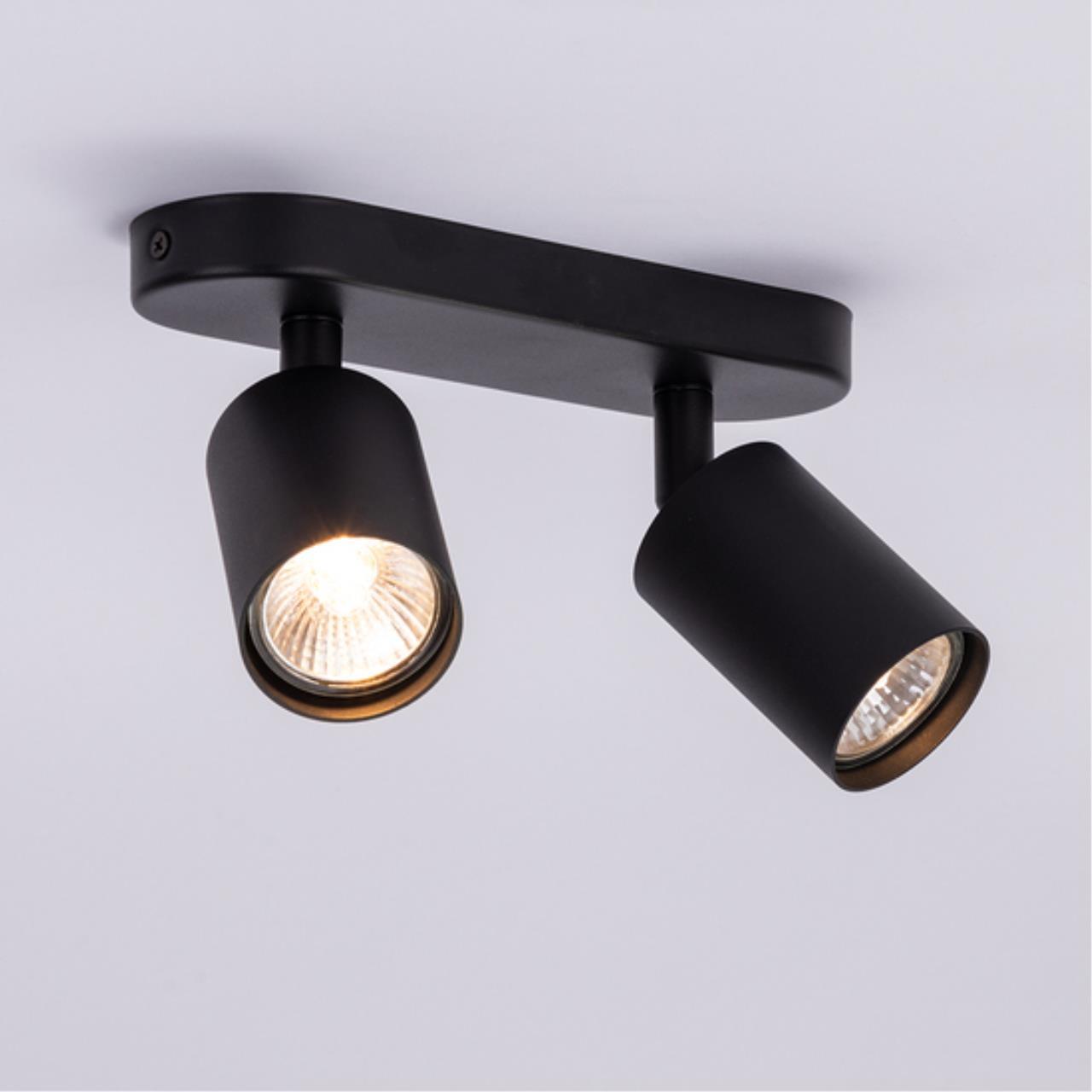 Дополнительная картинка Потолочный светильник Arte Lamp AQUARIUS A3226PL-2BK