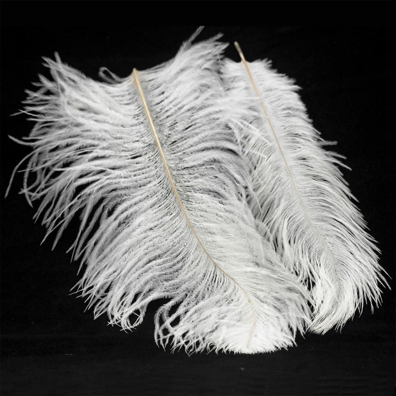 Дополнительная картинка Люстра Lussole LSP-8601