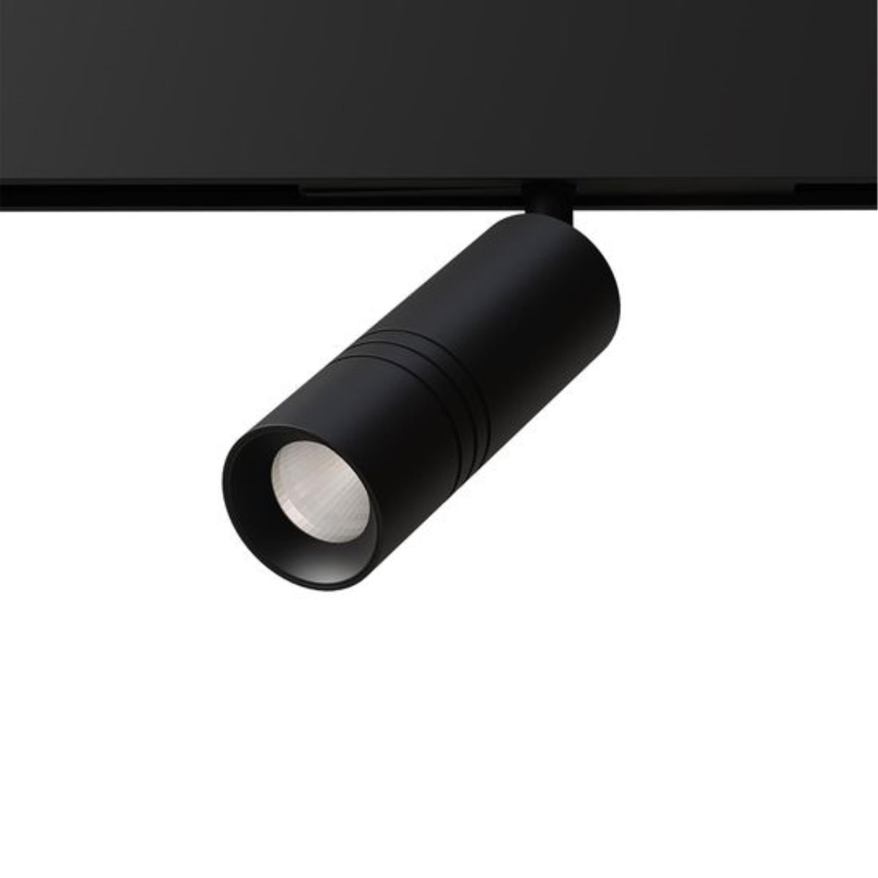 Дополнительная картинка Светильник потолочный Arte Lamp EXPERT A5741PL-1BK
