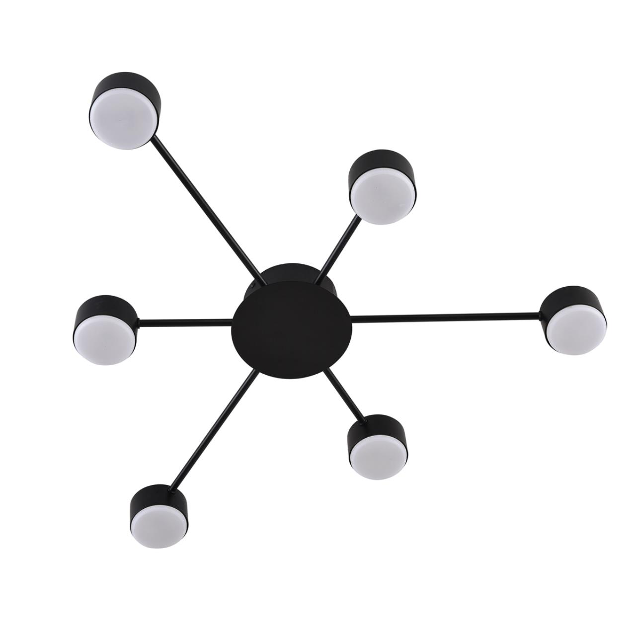 Картинка 8344/6C Lumion Люстра TORINA