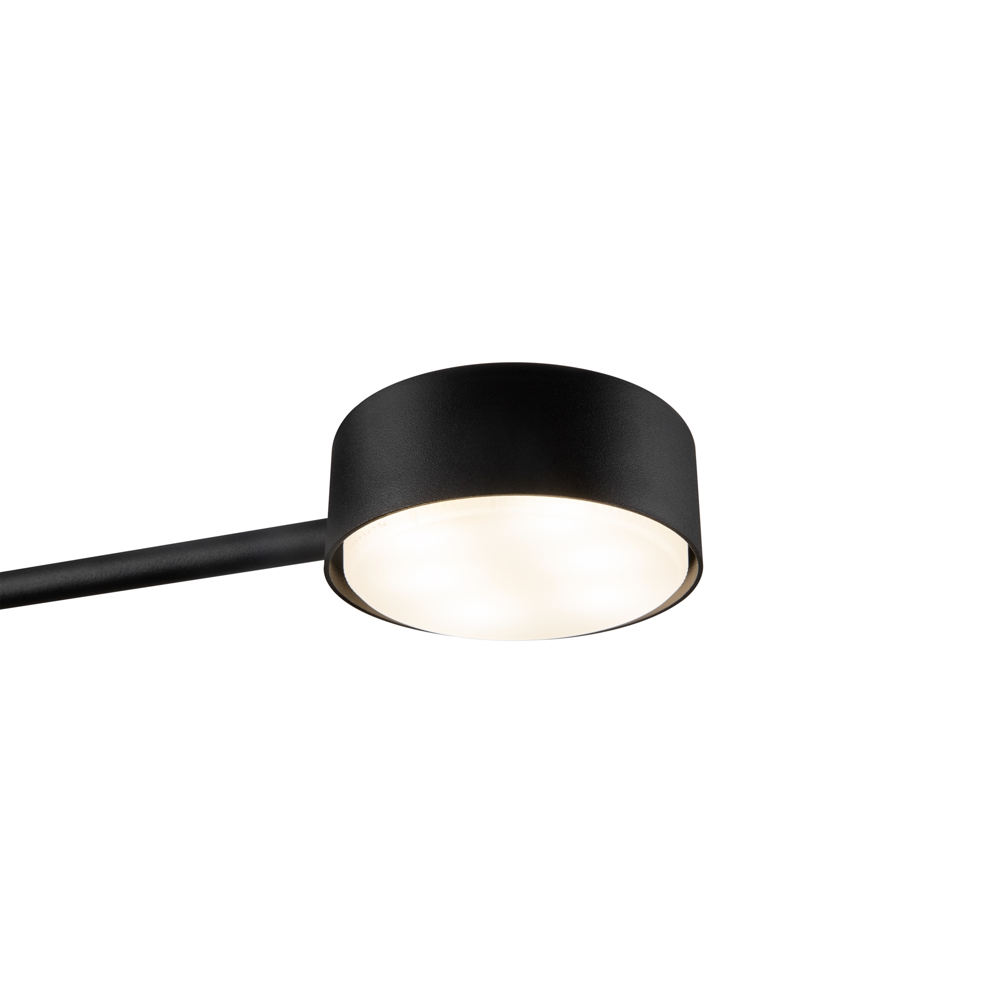 Дополнительная картинка Потолочный светильник Freya FR5363CL-02B1