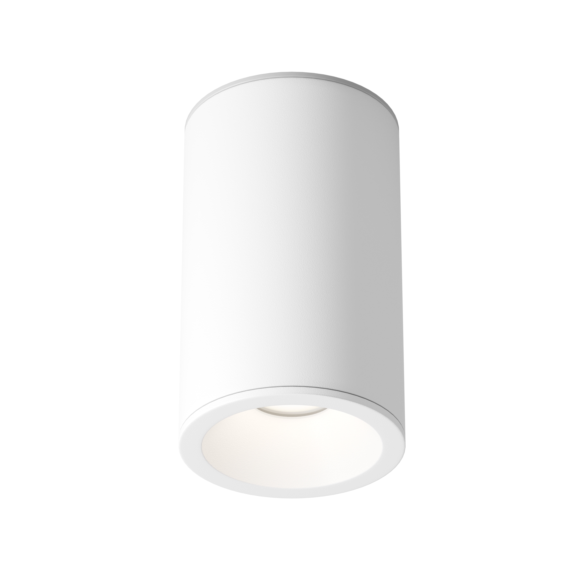 Картинка Потолочный светильник Technical C029CL-01-S-W