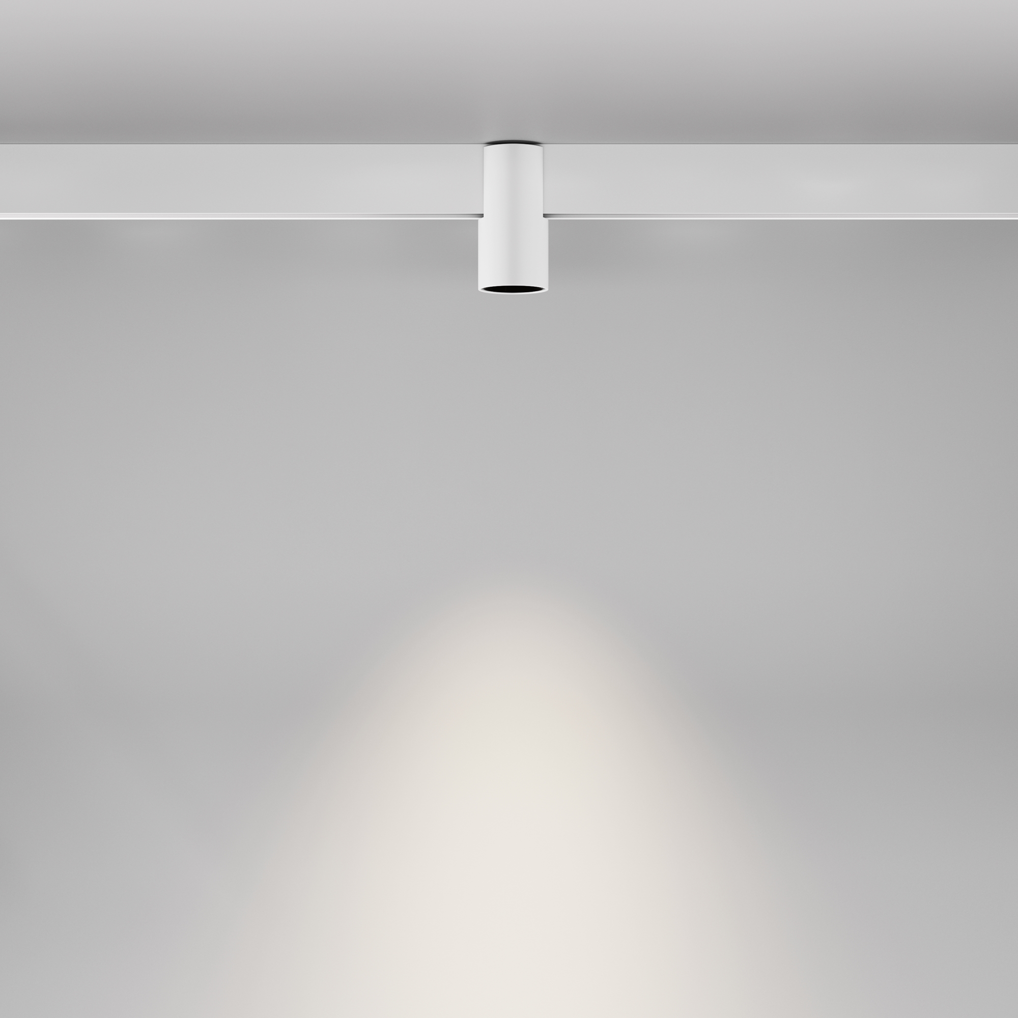 Дополнительная картинка Трековый светильник Technical TR122-2-7W4K-W