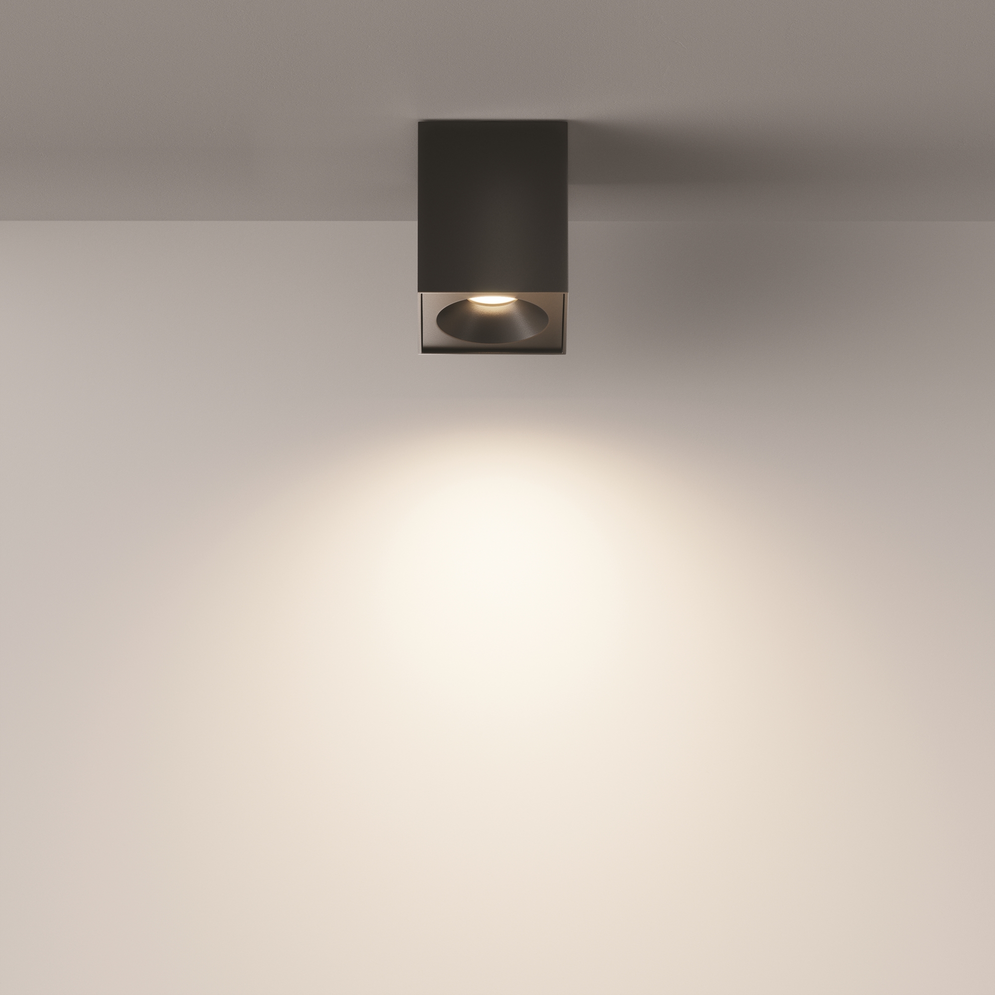 Дополнительная картинка Потолочный светильник Maytoni Sirius C030CL-01B