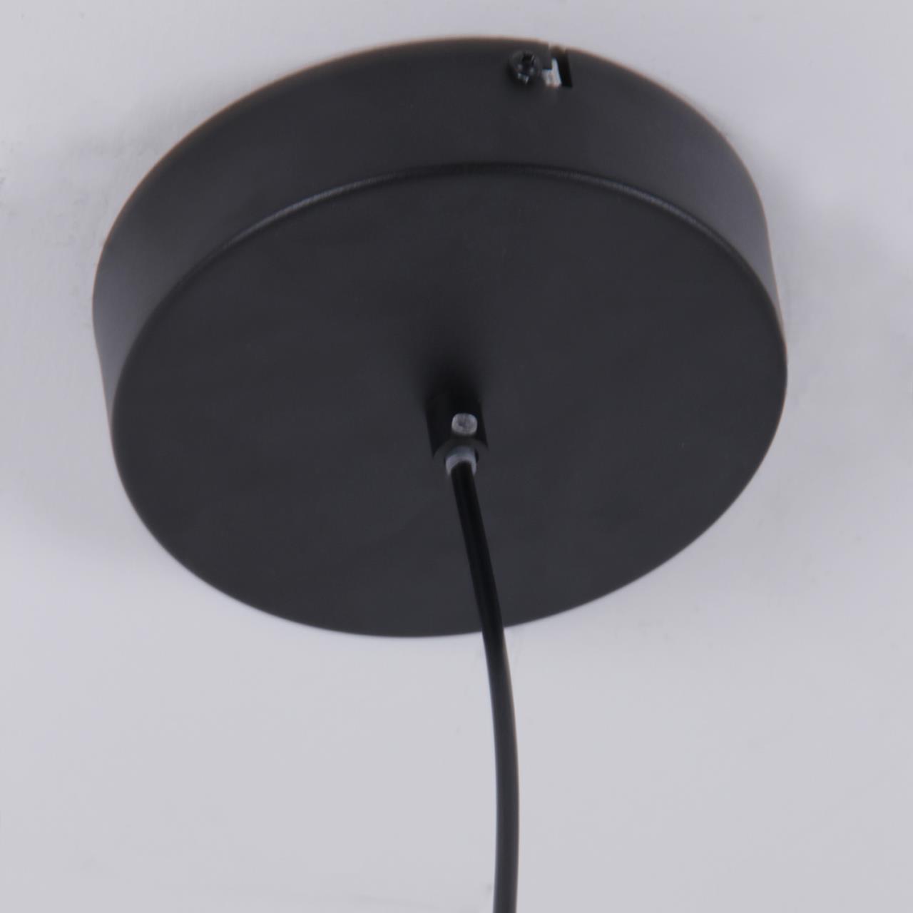 Картинка Подвесной светильник Tornado 4569-1P