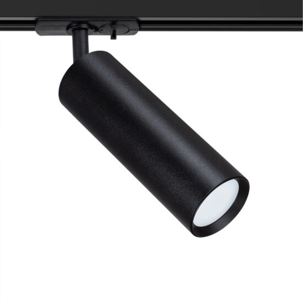 Дополнительная картинка Потолочный светильник Arte Lamp BEID A1515PL-1BK