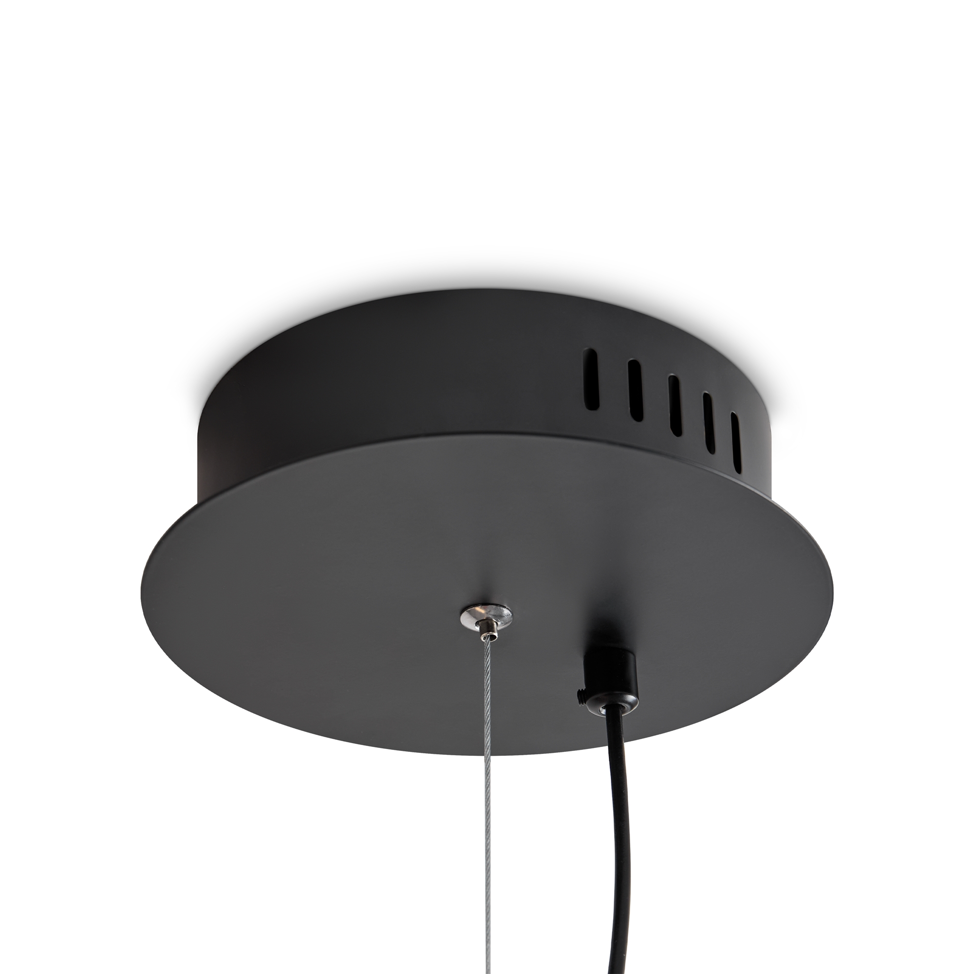 Дополнительная картинка Подвесной светильник Freya FR5556PL-L22BBS