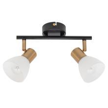 Настенно-потолочные Настенно-потолочный светильник Arte Lamp Falena A3117PL-2BK, доставка по Казахстану 